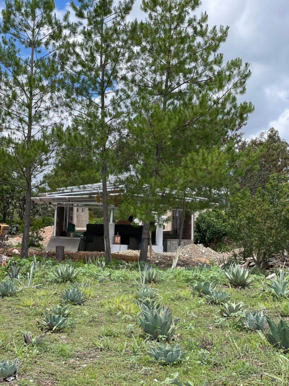 mezcal-fundadores-p1